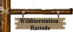 Wildtierstation
      Rastede